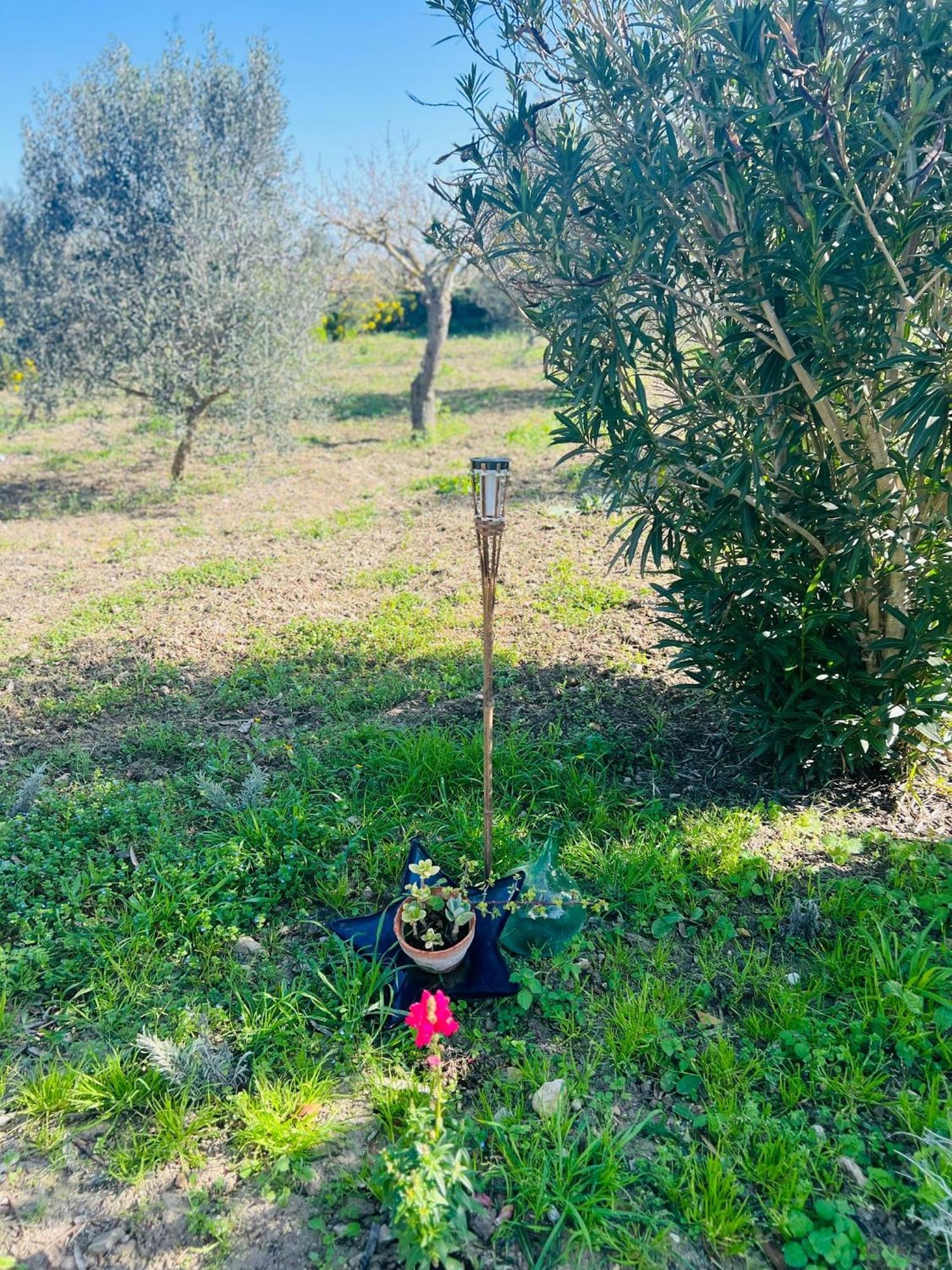 Willa Es Puig Santa Margalida Zewnętrze zdjęcie
